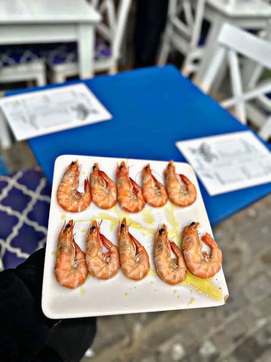Fotoğraf 23