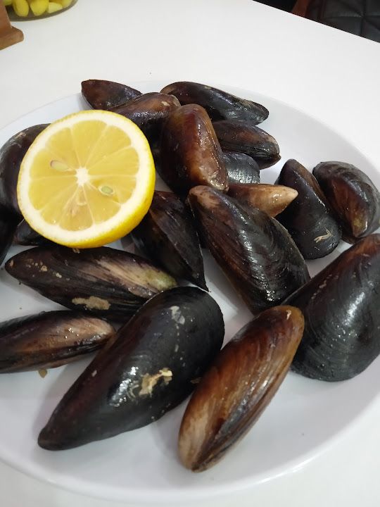Fotoğraf 12