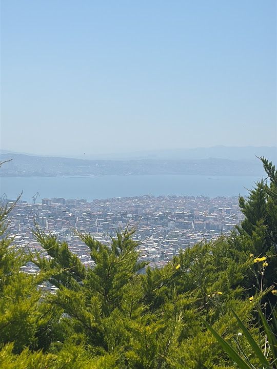 Fotoğraf 34