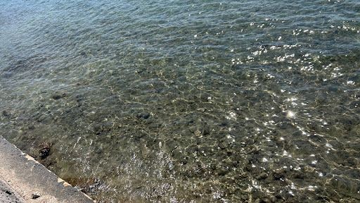Fotoğraf 16