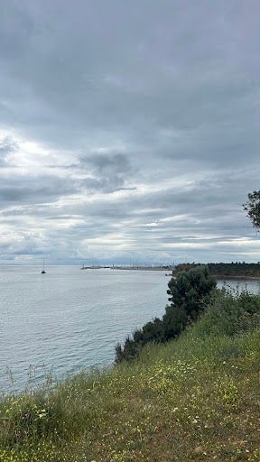 Fotoğraf 21