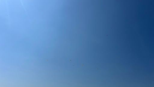 Yorum fotoğrafı 6