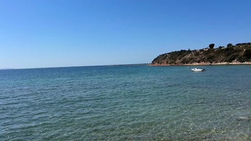 Fotoğraf 19