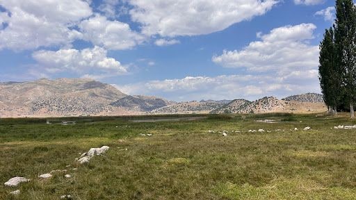 Yorum fotoğrafı 6