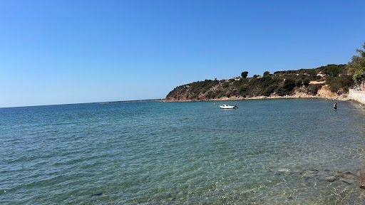 Fotoğraf 20