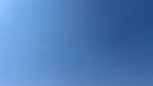 Yorum fotoğrafı 7
