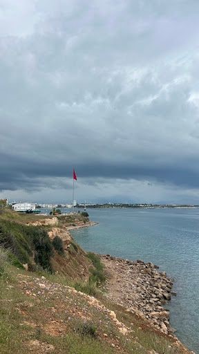 Fotoğraf 24