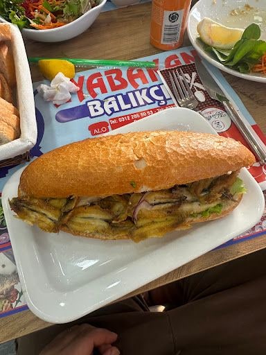 Yorum fotoğrafı 3