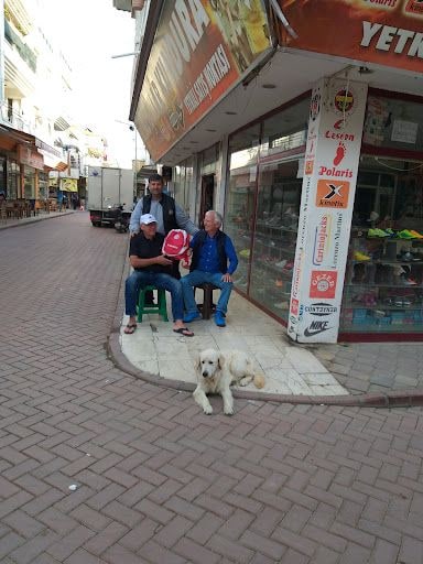 Fotoğraf 11