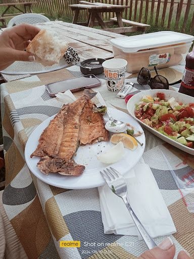 Fotoğraf 23