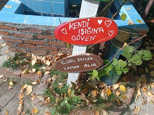 Yorum fotoğrafı 7