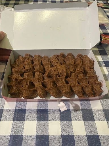 Fotoğraf 12