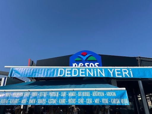 Fotoğraf 13