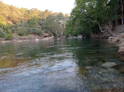 Fotoğraf 36