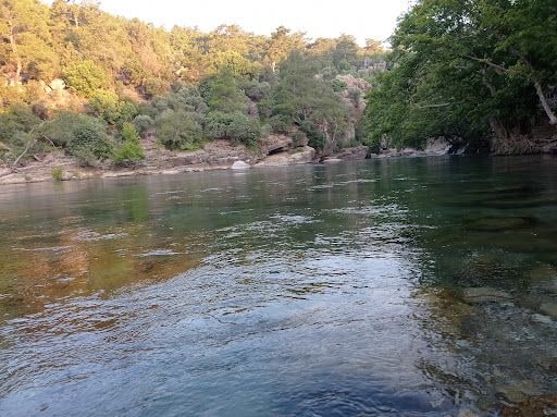 Fotoğraf 37