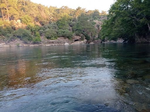 Fotoğraf 38