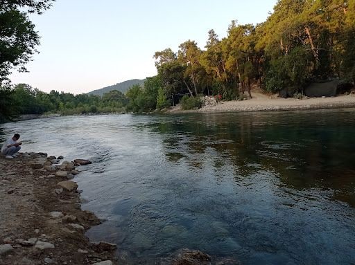 Fotoğraf 40