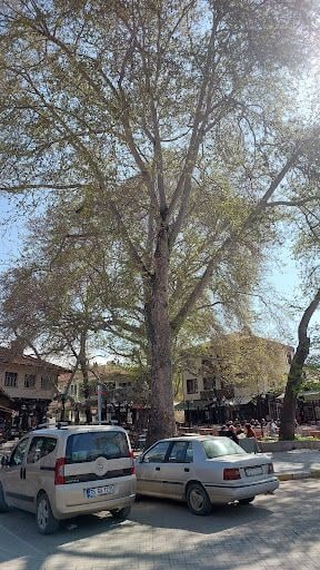Yorum fotoğrafı 3