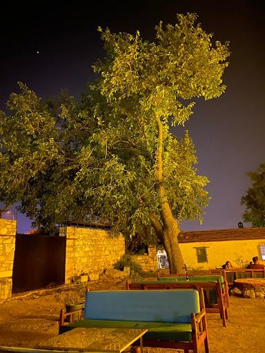 Fotoğraf 23