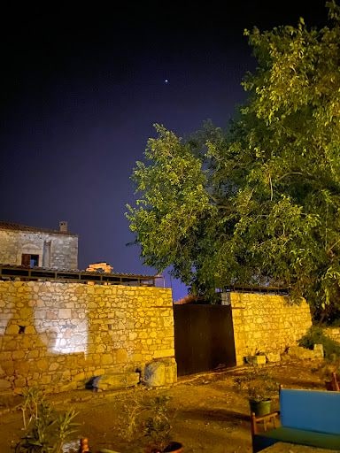 Fotoğraf 24
