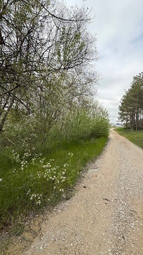 Yorum fotoğrafı 5