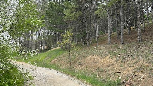 Yorum fotoğrafı 8
