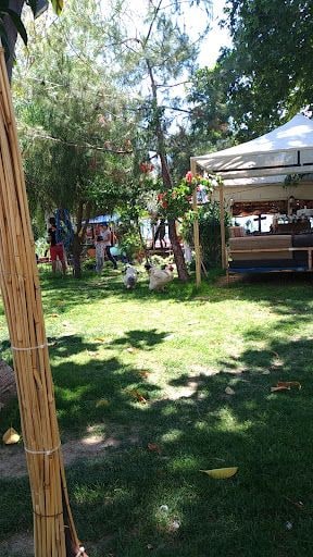 Yorum fotoğrafı 3