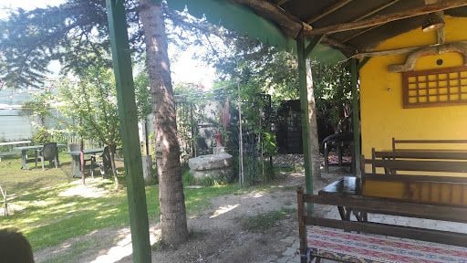 Yorum fotoğrafı 5