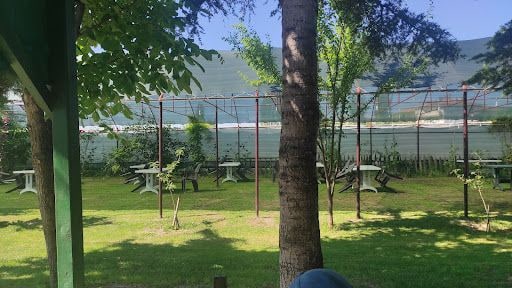 Yorum fotoğrafı 7