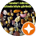 İbrahim Yorulmaz