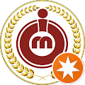Icam Network