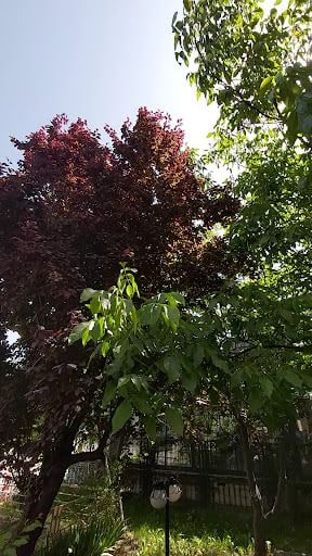 Yorum fotoğrafı 8
