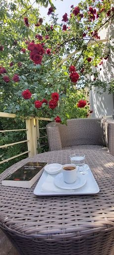 Yorum fotoğrafı 9