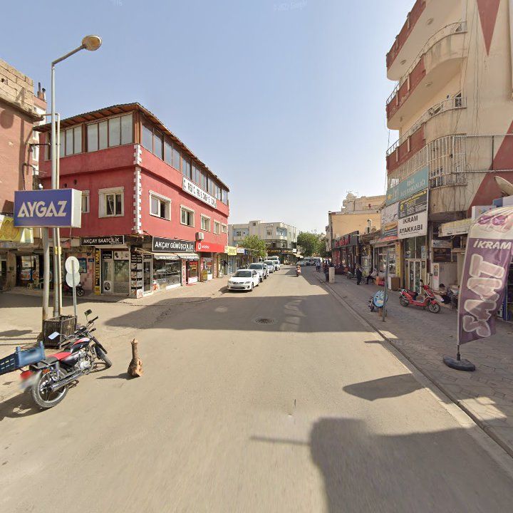 Fotoğraf 3