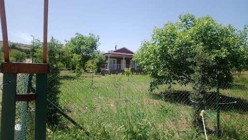 Yorum fotoğrafı 10