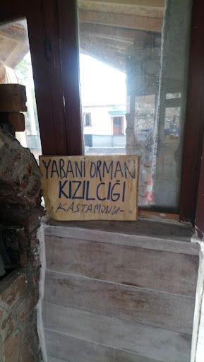Yorum fotoğrafı 4