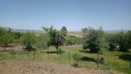 Yorum fotoğrafı 6