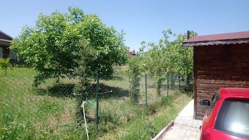 Yorum fotoğrafı 9