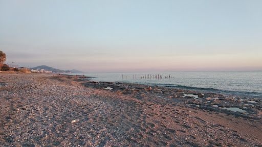 Yorum fotoğrafı 6