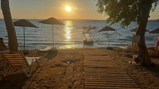Fotoğraf 31