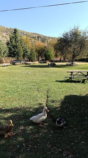 Yorum fotoğrafı 6