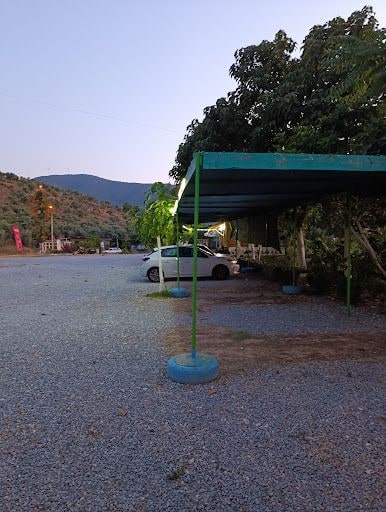Fotoğraf 23
