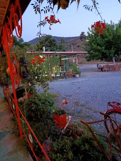 Fotoğraf 24