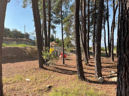 Fotoğraf 17