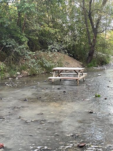 Yorum fotoğrafı 10