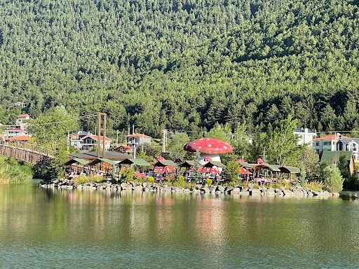 Yorum fotoğrafı 7