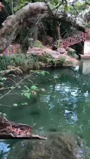 Yorum fotoğrafı 7