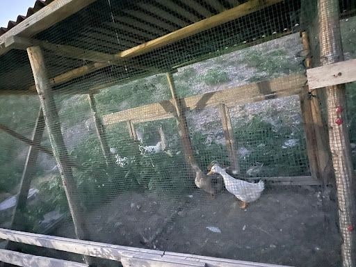 Yorum fotoğrafı 7