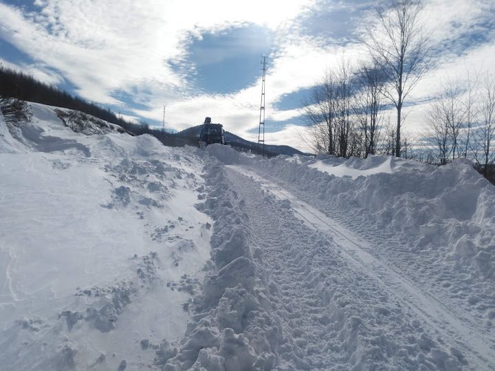 Ali Baba Canli Alabalik Tesisleri