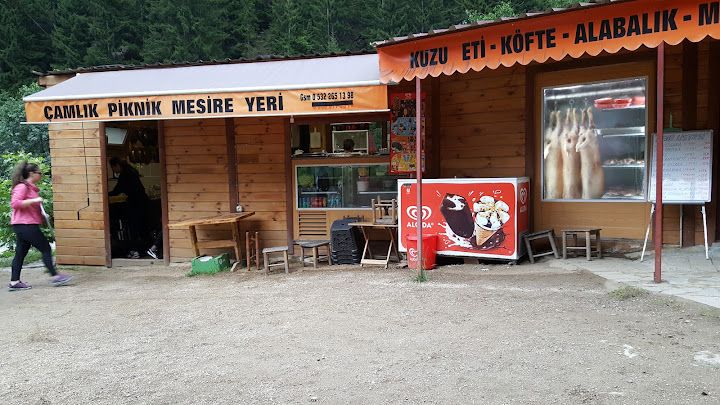 Ekrem Orhon Çamlık Piknik Mesire Yeri